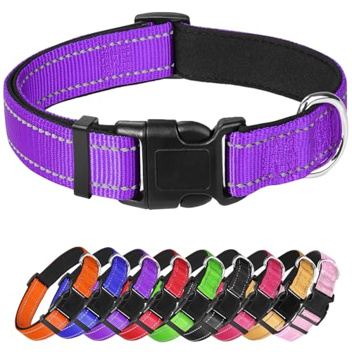 Hundehalsband für kleine Hunde, reflektierendes Haustierhalsband mit Schnalle, verstellbar, Sicherheits-Nylonhalsbänder für kleine, mittelgroße und große Hunde, Lila Hundehalsband für kleine Hunde, reflektierendes Haustierhalsband mit Schnalle, verstellbar, Sicherheits-Nylonhalsbänder für kleine, mittelgroße und große Hunde, Lila von Confvrter