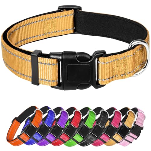 XL Hundehalsband, reflektierendes Haustierhalsband mit Schnalle, verstellbare Sicherheits-Nylonhalsbänder für kleine, mittelgroße und große Hunde, Gelb XL Hundehalsband, reflektierendes Haustierhalsband mit Schnalle, verstellbare Sicherheits-Nylonhalsbänder für kleine, mittelgroße und große Hunde, Gelb von Confvrter