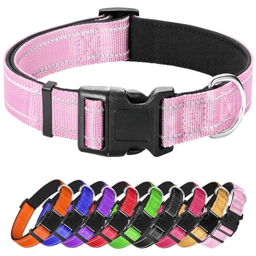 XS Hundehalsband, reflektierendes Haustierhalsband mit Schnalle, verstellbare Sicherheits-Nylonhalsbänder für kleine, mittelgroße und große Hunde, Hellrosa XS Hundehalsband, reflektierendes Haustierhalsband mit Schnalle, verstellbare Sicherheits-Nylonhalsbänder für kleine, mittelgroße und große Hunde, Hellrosa von Confvrter