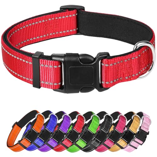 XS Hundehalsband, reflektierendes Haustierhalsband mit Schnalle, verstellbare Sicherheits-Nylonhalsbänder für kleine, mittelgroße und große Hunde, Rot XS Hundehalsband, reflektierendes Haustierhalsband mit Schnalle, verstellbare Sicherheits-Nylonhalsbänder für kleine, mittelgroße und große Hunde, Rot von Confvrter