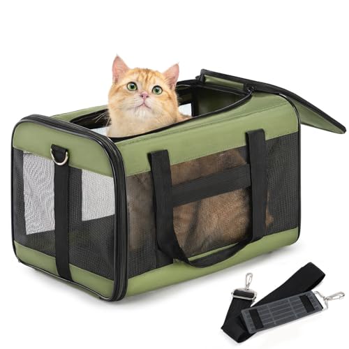 Conlun Katzenboxe Flugzeugtauglich, Weichseitige Hundetransportbox mit Innenleine, Transport für kleine bis mittelgroße Katzen und Welpen bis 7 kg, Zusammenklappbare Reisetasche -Grün,M von Conlun