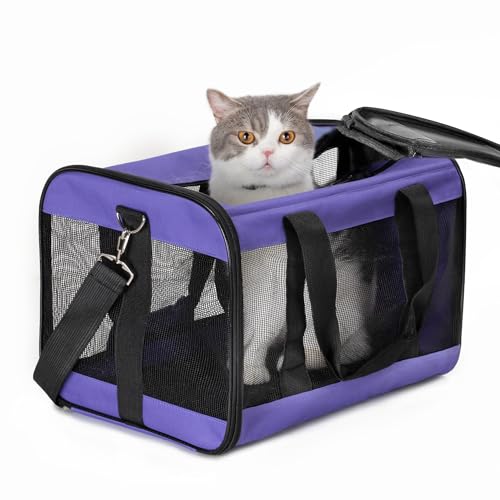 Conlun Katzenboxe Flugzeugtauglich, Weichseitige Hundetransportbox mit Innenleine, Transport für kleine bis mittelgroße Katzen und Welpen bis 7 kg, Zusammenklappbare Reisetasche -Lila,M Conlun Katzenboxe Flugzeugtauglich, Weichseitige Hundetransportbox mit Innenleine, Transport für kleine bis mittelgroße Katzen und Welpen bis 7 kg, Zusammenklappbare Reisetasche -Lila,M von Conlun