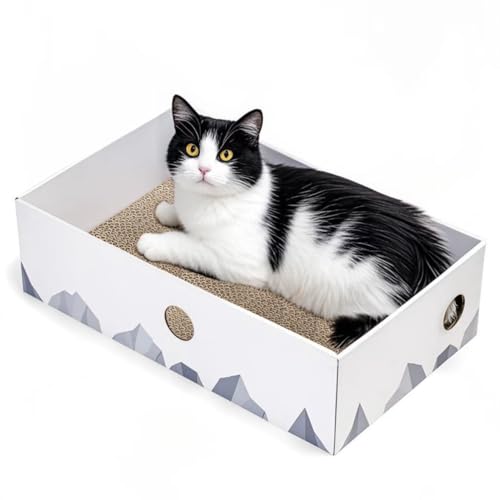 Conlun Kratzpads für Katzen Kratzbrett - Tragbare Katzenkratzbox mit Katzenkratzbrett - Robuste doppelseitige kratzpappe für Katzen und interaktives Lochdesign Kratzpappe für Katzen - groß - Weiß von Conlun