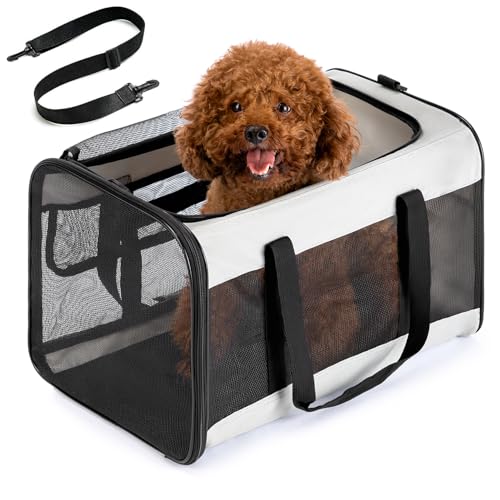 Conlun Hundetransporttasche – Weichwandige Tragetasche mit 4-Seitigem Mesh für Kleine Hunde & Große Katzen bis 9kg, Klappbare Reisetasche mit Atmungsaktivem Design in Größe L-Grau von Conlun