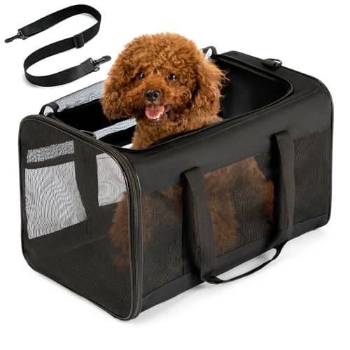 Conlun Hundetransporttasche – Weichwandige Tragetasche mit 4-Seitigem Mesh für Kleine Hunde & Große Katzen bis 9kg, Klappbare Reisetasche mit Atmungsaktivem Design in Größe L–Schwarz Conlun Hundetransporttasche – Weichwandige Tragetasche mit 4-Seitigem Mesh für Kleine Hunde & Große Katzen bis 9kg, Klappbare Reisetasche mit Atmungsaktivem Design in Größe L–Schwarz von Conlun