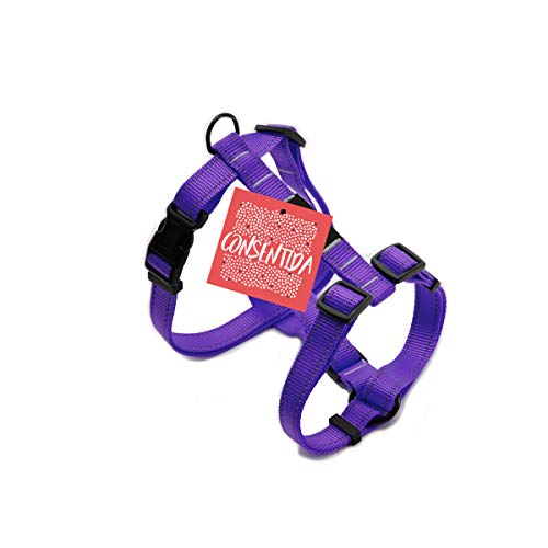 Consentida CN205403 Geschirr Flöte T-4, 42-70 x 2.5 cm, XL, Violett von Consentida