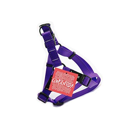Consentida CN205412 Petral Flöte T-1, 20-35 x 1 cm, S, violett von Consentida