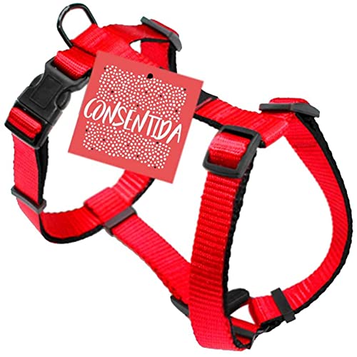 Consentida Basic Hundegeschirr T4 Größe XL 42 – 70 x 2,5 cm – Rot – Robustes Gewebe aus Nylon – leicht zu befestigen – Hundezubehör von Consentida