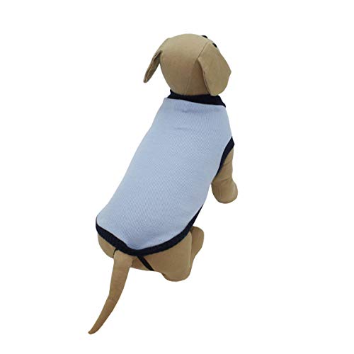 Consentida CN205498 Pullover Feingarn, M, Pastellblau von Consentida