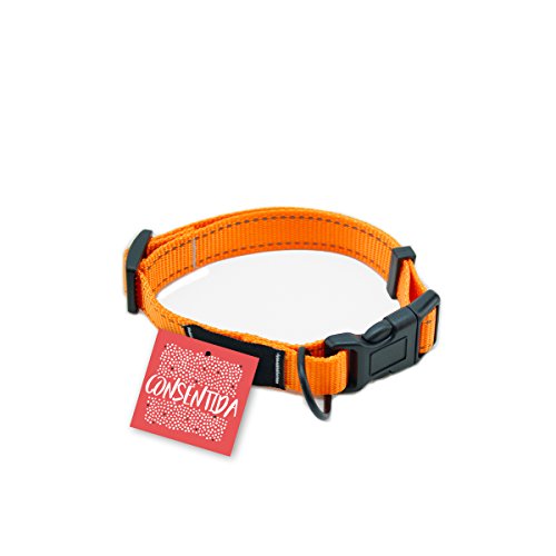 Consentida CN205660 Halskette Flöte T-4, 45-70 x 2.5 cm, XL, Orange Consentida CN205660 Halskette Flöte T-4, 45-70 x 2.5 cm, XL, Orange von Consentida
