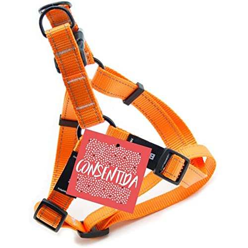 Consentida CN205667 Petral Flöte T-3, 35-50 x 2 cm, L, orange Consentida CN205667 Petral Flöte T-3, 35-50 x 2 cm, L, orange von Consentida