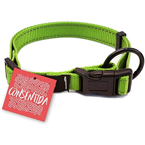 Consentida CN205679 Sicherheitskette Flöte T-3, 33-50 x 2 cm, L, grün von Consentida