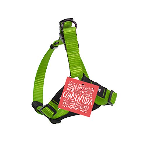 Consentida CN205757 Petral Basic T-4, 45-65 x 2.5 cm, XL, Pistazie von Consentida