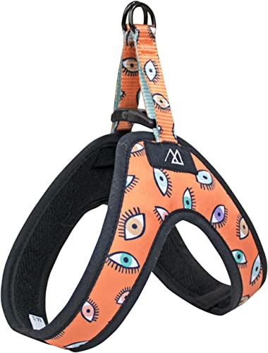 Consentida Dreieckiges Geschirr für kleine Hunde – Größe S2 – 15,5 x 14,5 x 4,5 cm – Eyes-Design, sehr robust und bequem, reduziert Ziehen, Zubehör für Hunde von Consentida