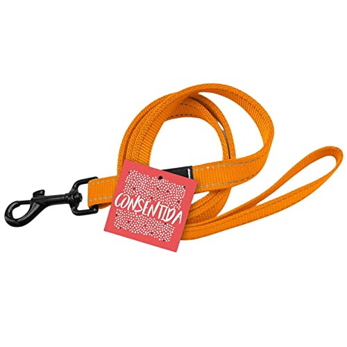 Consentida T1 Hundeleine für kleine Hunde, Größe S 120 x 1 cm, Neonorange, einfarbiger Druck, robuster Stoff aus Nylon, leicht zu befestigen, Zubehör für Hunde Consentida T1 Hundeleine für kleine Hunde, Größe S 120 x 1 cm, Neonorange, einfarbiger Druck, robuster Stoff aus Nylon, leicht zu befestigen, Zubehör für Hunde von Consentida