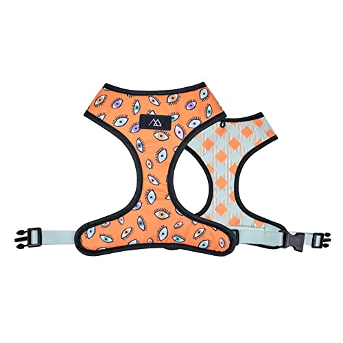 Consentida Umkehrbares Geschirr für kleine Hunde - 19,5 x 18,5 cm - Augen-Design - Größe XS - sehr robust und bequem - sicher - Zubehör für Hunde von Consentida