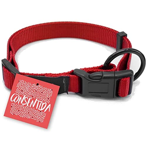 Consentida cn205396 Halskette Sicherheit glatt T-1, 20 – 35 x 1 cm, S, rot von Consentida