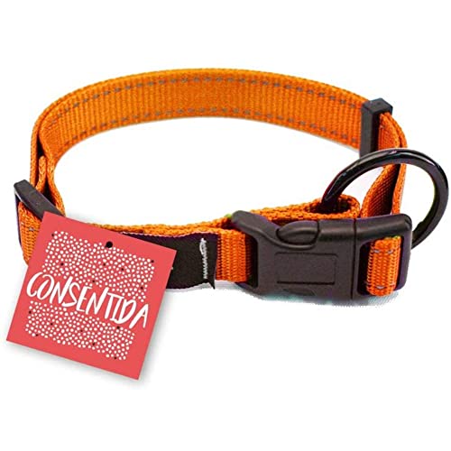 Consentida Halsband für große Hunde, T3, Größe L 33 – 50 x 2 cm, Neonorange, glatter und robuster Stoff, integrierter Regler mit Click-Verschluss von Consentida