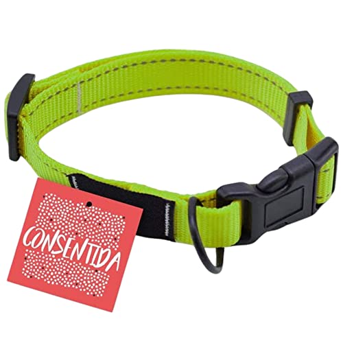 Consentida Halsband für große Hunde, T4, Größe XL 45, 70 x 2,5 cm, Neongrün, glatter und robuster Stoff, integrierter Regler mit Klickverschluss von Consentida