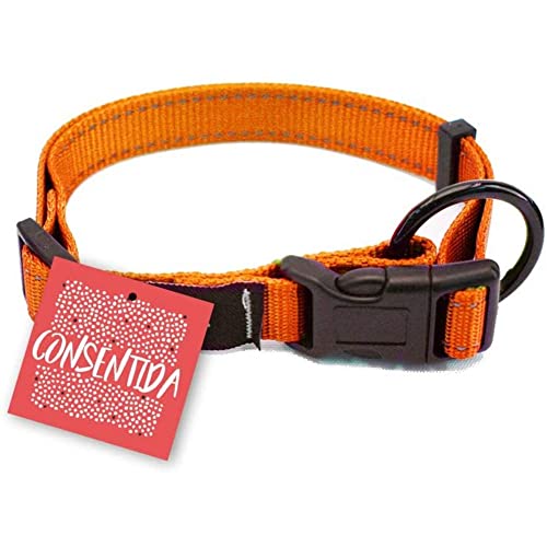 Consentida cn205675 Halskette Sicherheit Fluor T-3, 33 – 50 x 2 cm, L, Orange von Consentida
