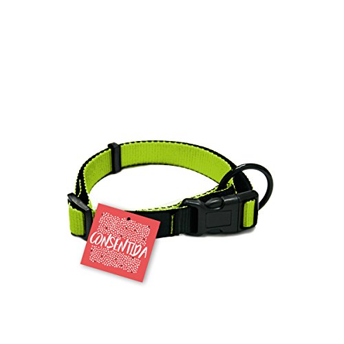 Consentida cn205725 Halskette Sicherheit Basic-2, 28 – 45 x 1.5 cm, M, Pistazie von Consentida