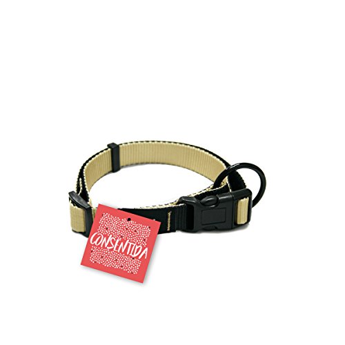 Consentida cn205734 Halskette Sicherheit Basic T-3, 33 – 50 x 2 cm, L, Beige von Consentida