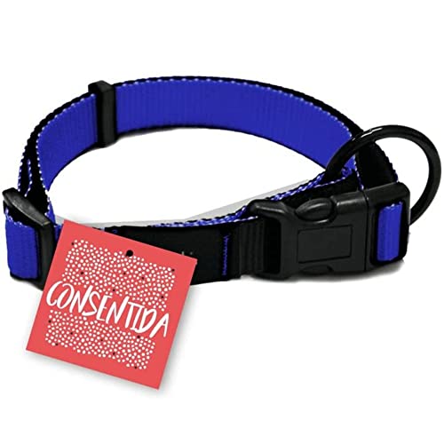 Consentida cn205736 Halskette Sicherheit Basic T-3, 33 – 50 x 2 cm, L, blau Consentida cn205736 Halskette Sicherheit Basic T-3, 33 – 50 x 2 cm, L, blau von Consentida