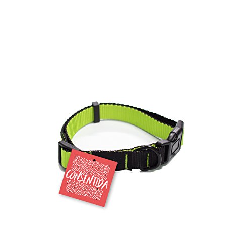 Consentida cn205738 Halskette Basic T-4, 45 – 70 x 2.5 cm, XL, Pistaziengrün von Consentida