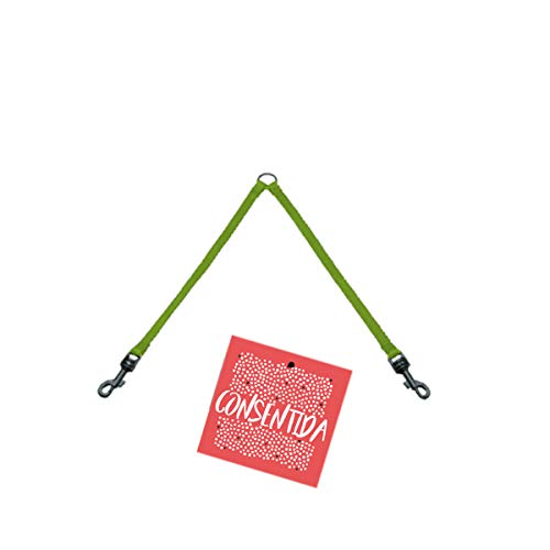 Consentida cn205765 AZS doppelte Basic T, 30 x 1 cm, S, Pistazie Consentida cn205765 AZS doppelte Basic T, 30 x 1 cm, S, Pistazie von Consentida