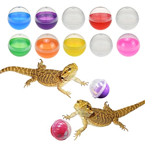 CooShou 10Pcs Lizard Bartdrachen Fütterungs Spielzeug Ball Reptilien Lebensmittel Spielzeug Ball Eidechse Interaktives Spielzeug für Bartagamen, Eidechse, Gecko und Kleintiere von CooShou