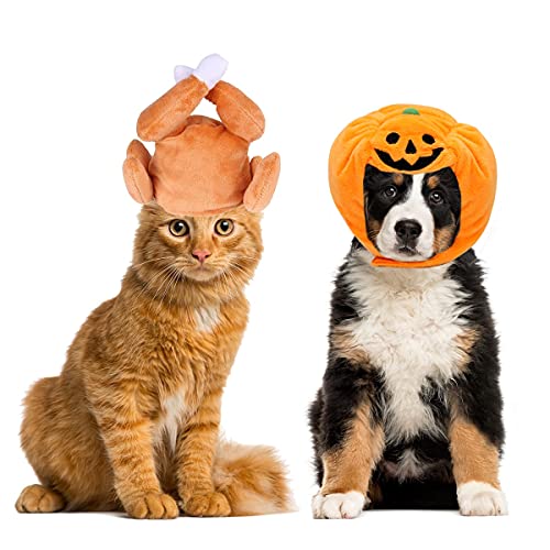 CooShou Halloween-Kürbis-Hut für Katzen und kleine Hunde, 2 Stück von CooShou