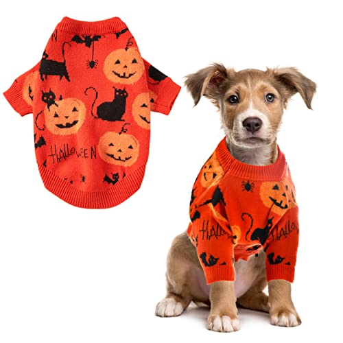 CooShou Halloween Pullover Kostüm für Hunde Katze Kürbis Strickwaren Kleidung Kostüm mit Kürbis Kätzchen Muster Hund Halloween Pullover Mantel für Kätzchen Kleine Hunde Katzen XXL von CooShou