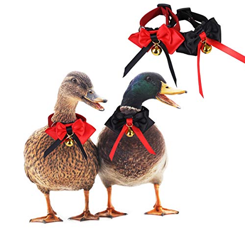 CooShou Haustier-Entenhalsbänder mit Fliege und Glöckchen, verstellbar, für Geflügel, Enten, Gänse, kleine Tiere, Kostüm-Zubehör, Geschenk für Weihnachten, Valentinstag, 2 Stück von CooShou
