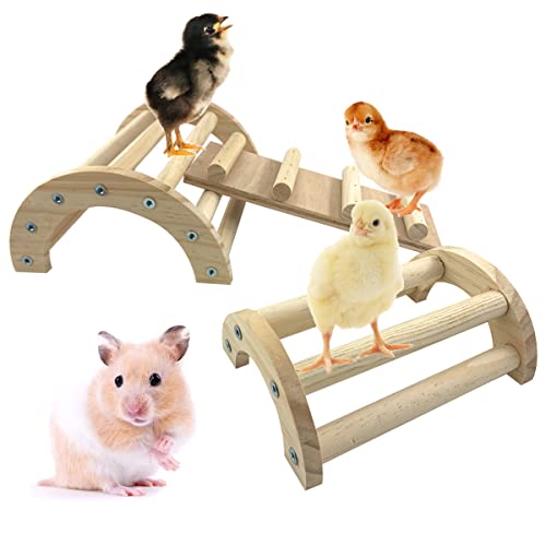 CooShou Hühnerstange, Hamster, Kletterspielzeug, Holzbogen, Brücke, Plattform, Ständer, Leiter, 3-in-1, Kletterrampe, Spielzeug für Küken, Hamster, Rennmäuse, Mäuse, Nagetiere und Kleintiere von CooShou