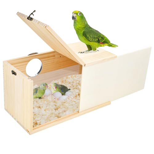 CooShou Sittich-Nistkasten, Nymphensittich-Nistkasten, natürliche Kiefer, Vogelnest, Brutkasten, Acryl, transparent, mit abnehmbarem Holzbrett für Unzertrennliche, Wellensittich, Papagei, Größe XL CooShou Sittich-Nistkasten, Nymphensittich-Nistkasten, natürliche Kiefer, Vogelnest, Brutkasten, Acryl, transparent, mit abnehmbarem Holzbrett für Unzertrennliche, Wellensittich, Papagei, Größe XL von CooShou