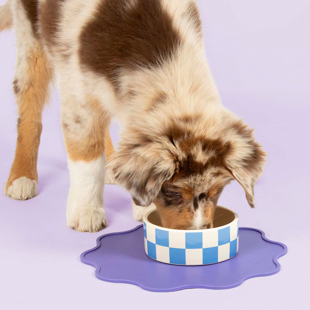 Coockoo Eetkom Checkmate! - S von Coockoo