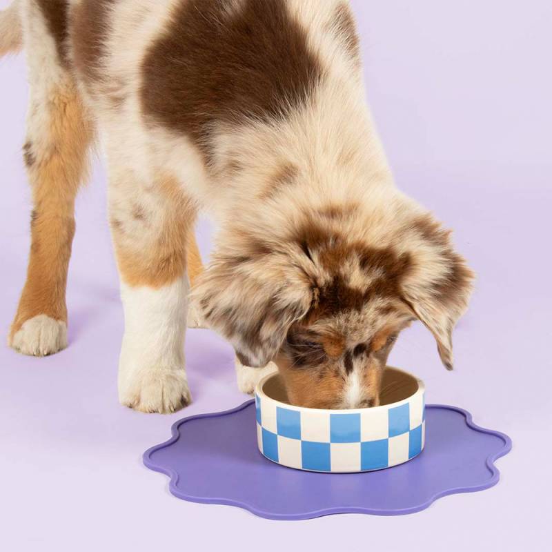 Coockoo Eetkom Checkmate! - S von Coockoo