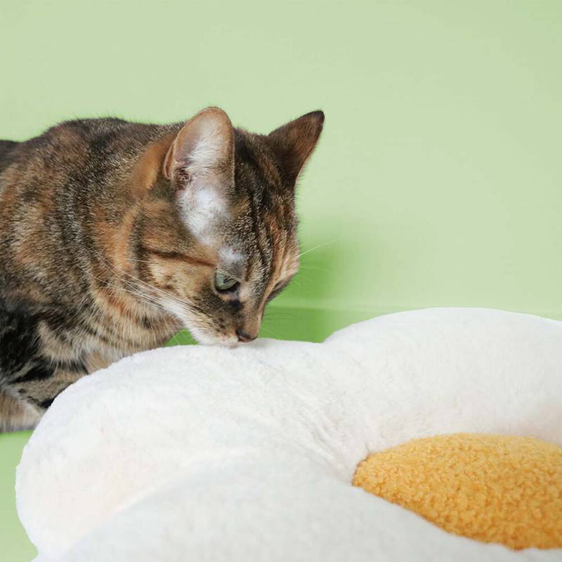 Coockoo Lazy Daisy Kissen Coockoo Lazy Daisy Kissen von Coockoo