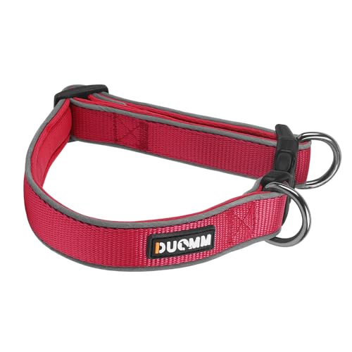Coogime Hundehalsband, Weich Gepolstertes Neopren Nylon Hunde Halsband für Mittlere und große Hunde, Verstellbare und Reflektierend für das Training (rot, S) von Coogime