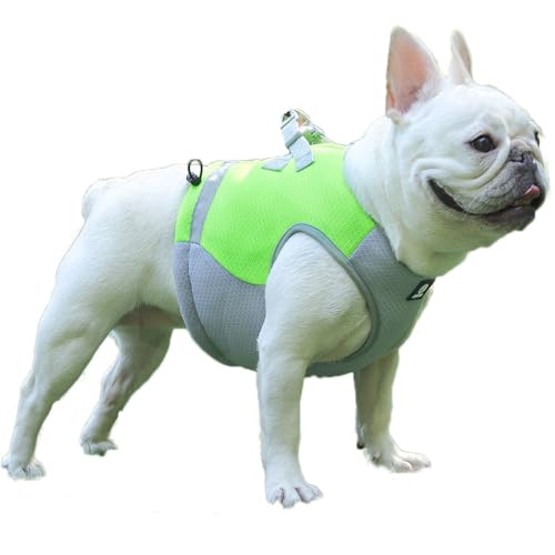 Coogime Hundekühlweste, Kühlgeschirr Hund Atmungsaktives Hundejacke Sommer verstellbare Kühlweste Hundemantel mit Reflektierendem Streifen geeignet für Große Mittlere und Kleine Hunde (grün, L) von Coogime