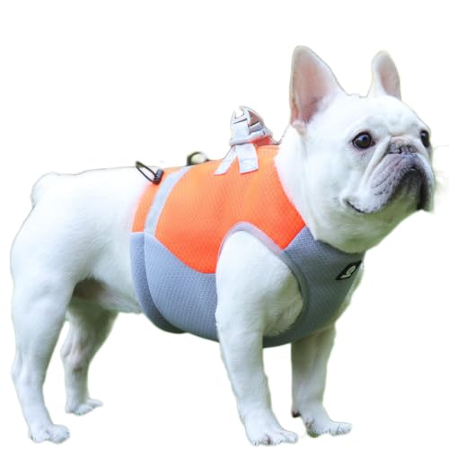 Coogime Hundekühlweste, Kühlgeschirr Hund Atmungsaktives Hundejacke Sommer verstellbare Kühlweste Hundemantel mit Reflektierendem Streifen geeignet für Große Mittlere und Kleine Hunde (orange, S) von Coogime