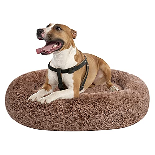 coohom Ovales beruhigendes Donut-Kuschelbett, Kunstfell, Katzenbett, waschbar, rundes Kissen, Haustierbett (76,2 cm/91,4 cm/109,2 cm) für kleine mittelgroße Hunde (XXL (109,2 x 86,4 x 20,3 cm), von Coohom