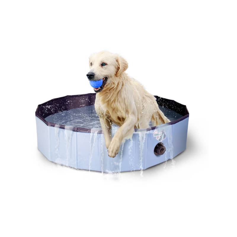 CoolPets Hundepool - 100 x 30 cm CoolPets Hundepool - 100 x 30 cm von CoolPets