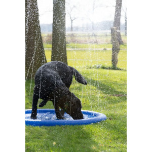CoolPets Splash Pool Sprinkler Pro Stück CoolPets Splash Pool Sprinkler Pro Stück von CoolPets