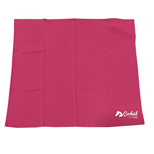 Coolaid Hunde Kühlung Großer Hund Bandana – 61 x 61 cm, Large- 24" x 24", Rose Coolaid Hunde Kühlung Großer Hund Bandana – 61 x 61 cm, Large- 24" x 24", Rose von Coolaid