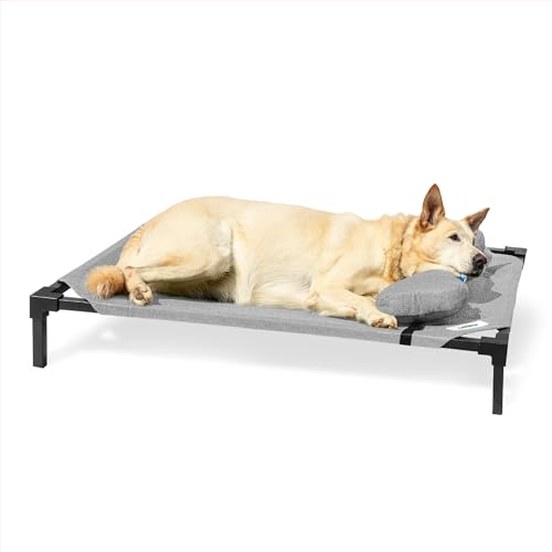 Coolaroo Pro erhöhtes Hundebett mit HeatShield-Gewebe – fortschrittliches kühlendes erhöhtes Kinderbett für kleine und mittelgroße Rassen, leicht zu reinigen, Zugang zum Boden, Bonus Nackenrolle Coolaroo Pro erhöhtes Hundebett mit HeatShield-Gewebe – fortschrittliches kühlendes erhöhtes Kinderbett für kleine und mittelgroße Rassen, leicht zu reinigen, Zugang zum Boden, Bonus Nackenrolle von Coolaroo