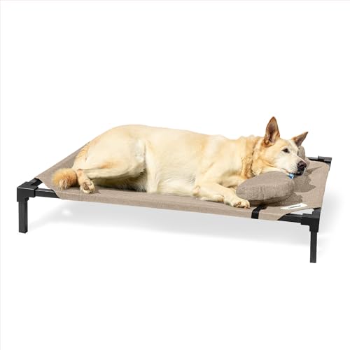 Coolaroo Pro erhöhtes Hundebett mit HeatShield-Gewebe – fortschrittliches kühlendes erhöhtes Kinderbett für kleine und mittelgroße Rassen, leicht zu reinigen, Zugang zum Boden, Bonus Nackenrolle Coolaroo Pro erhöhtes Hundebett mit HeatShield-Gewebe – fortschrittliches kühlendes erhöhtes Kinderbett für kleine und mittelgroße Rassen, leicht zu reinigen, Zugang zum Boden, Bonus Nackenrolle von Coolaroo