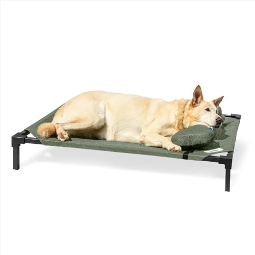 Coolaroo Pro erhöhtes Hundebett mit HeatShield-Gewebe – fortschrittliches kühlendes erhöhtes Kinderbett für kleine und mittelgroße Rassen, leicht zu reinigen, Zugang zum Boden, Bonus Nackenrolle Coolaroo Pro erhöhtes Hundebett mit HeatShield-Gewebe – fortschrittliches kühlendes erhöhtes Kinderbett für kleine und mittelgroße Rassen, leicht zu reinigen, Zugang zum Boden, Bonus Nackenrolle von Coolaroo