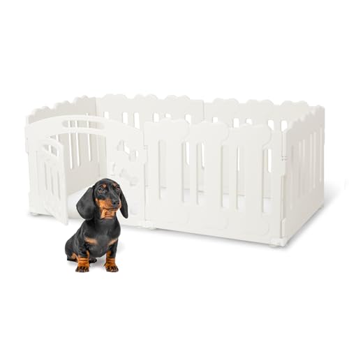 Hundepalypen Hundepalypen von Coolfish