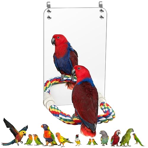 17,8 cm Vogelspiegel Coolrunner Spiegel für Vogelkäfig Vogelspiegel für Sittiche Käfig Nymphensittiche Conures Käfig Vogel Papagei Spiegel mit Seil Papagei (M) von Coolrunner